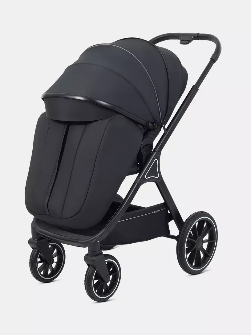 Коляска 2 в 1 Rant Basic Terra Black
