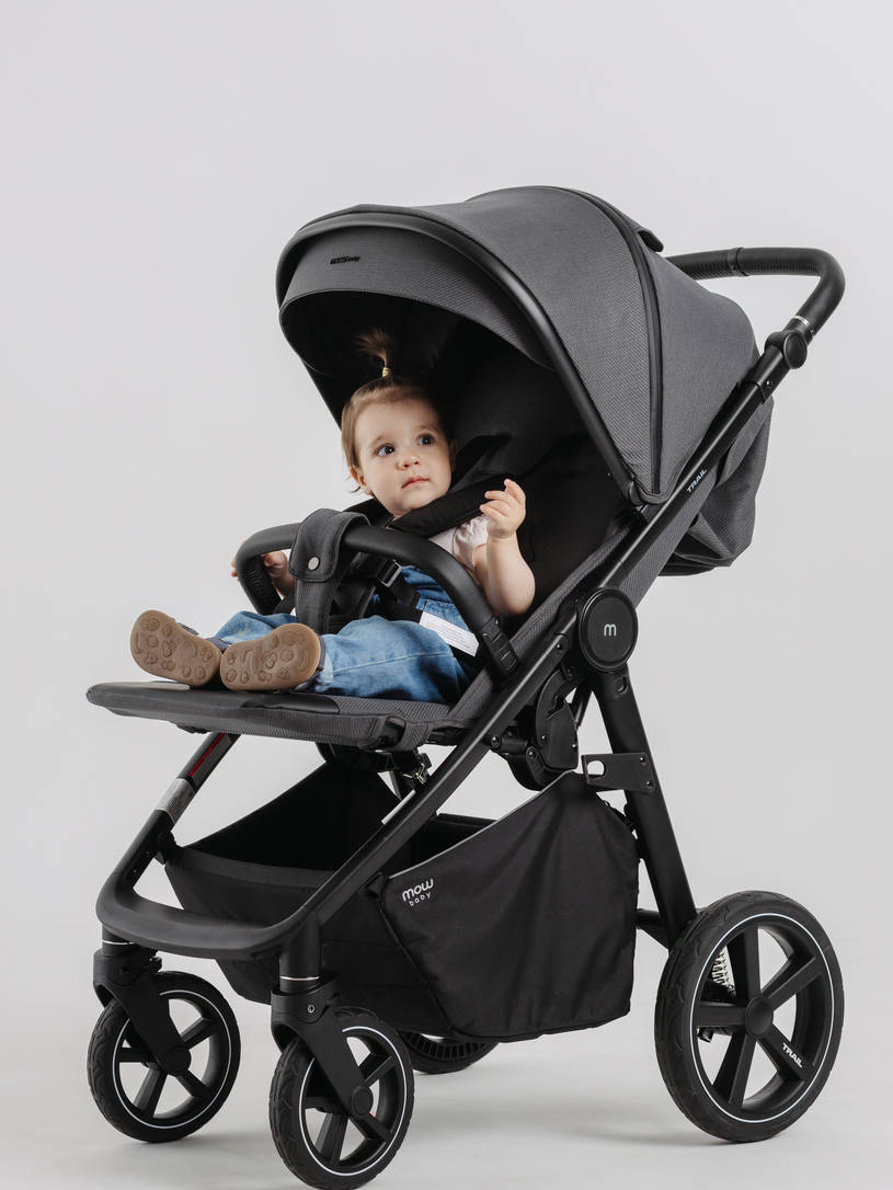 Коляска прогулочная Mowbaby Trail Carbon