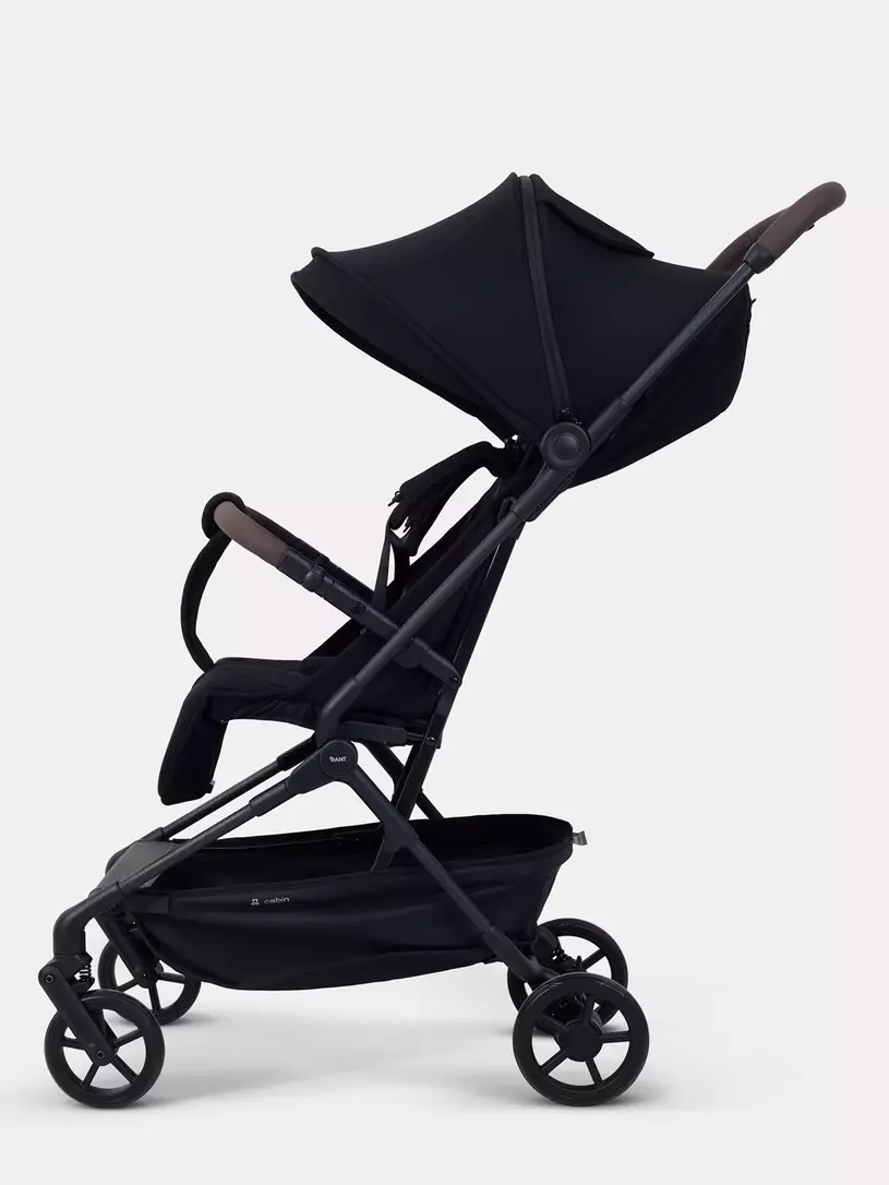 Коляска прогулочная Rant Avion Сarbon Black