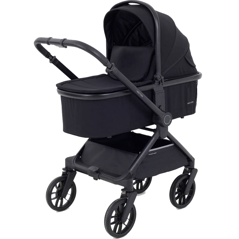 Коляска 2 в 1 Rant Vector Black
