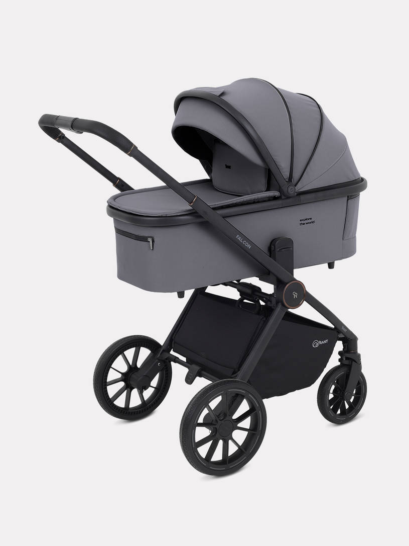 Коляска 2 в 1 Rant Falcon Neo Grey