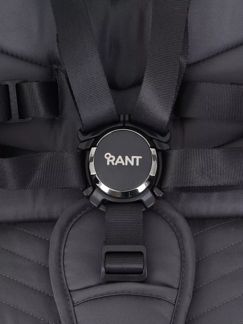 Коляска 2 в 1 Rant Flex Pro 2023 RA074 Blue