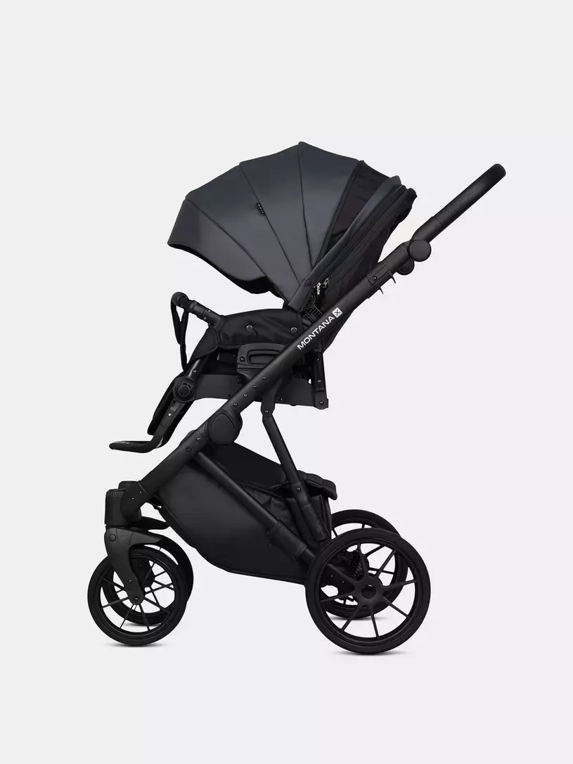 Коляска 2 в 1 Riko Basic Montana X Ecco 24 Graphite