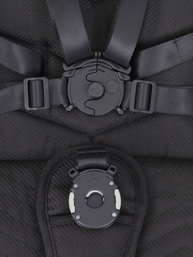 Коляска прогулочная Rant Flex Pro 2023 RA099 Black