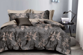 КПБ Dream Fly Евро 2 наволочки DF03-459 код1069