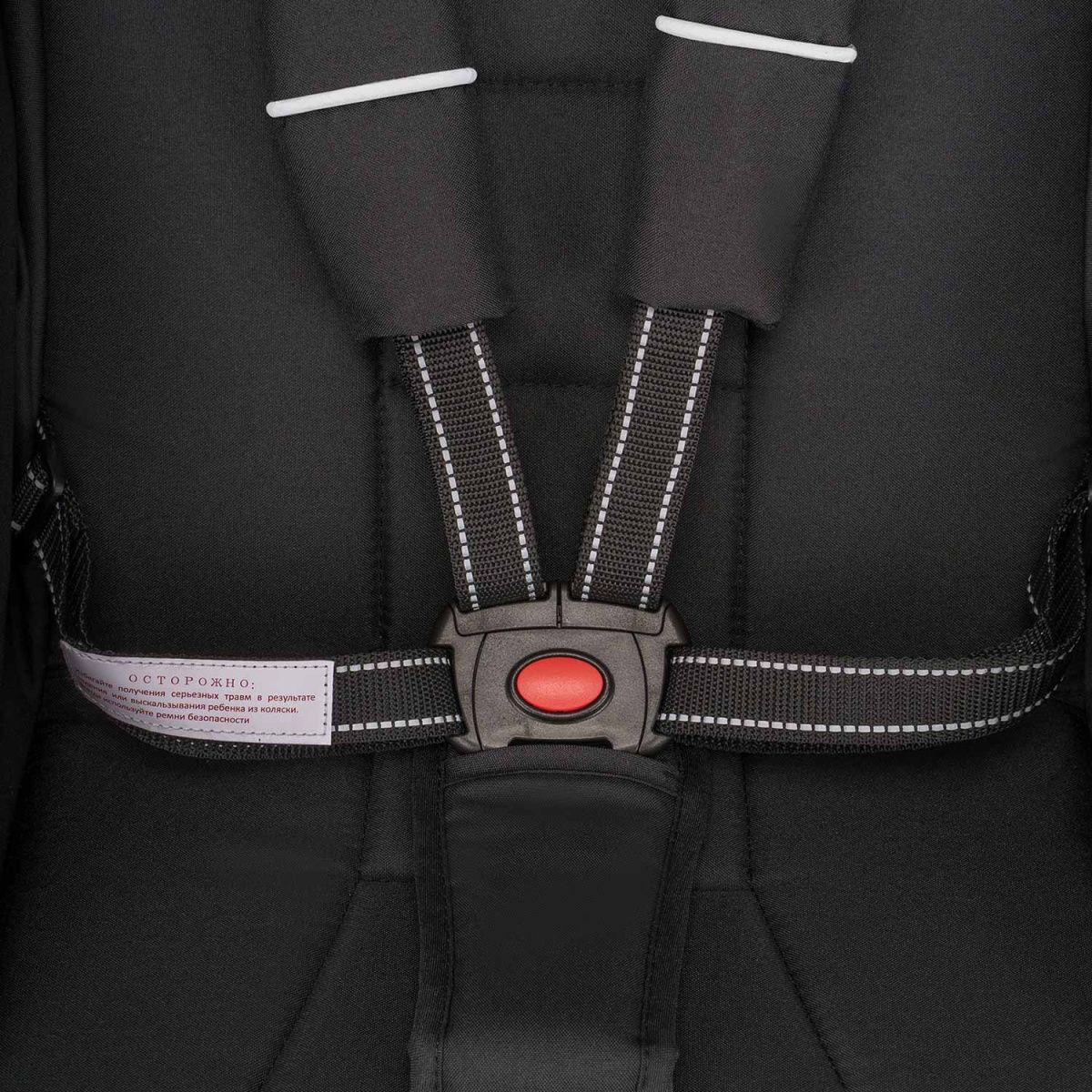 Коляска прогулочная Indigo ONYX черный