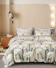 Twill евро 4 наволочки TPIG6-1947 КОД1038