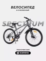 Велосипед 2-х колесный Rant Spectrum 24 графит