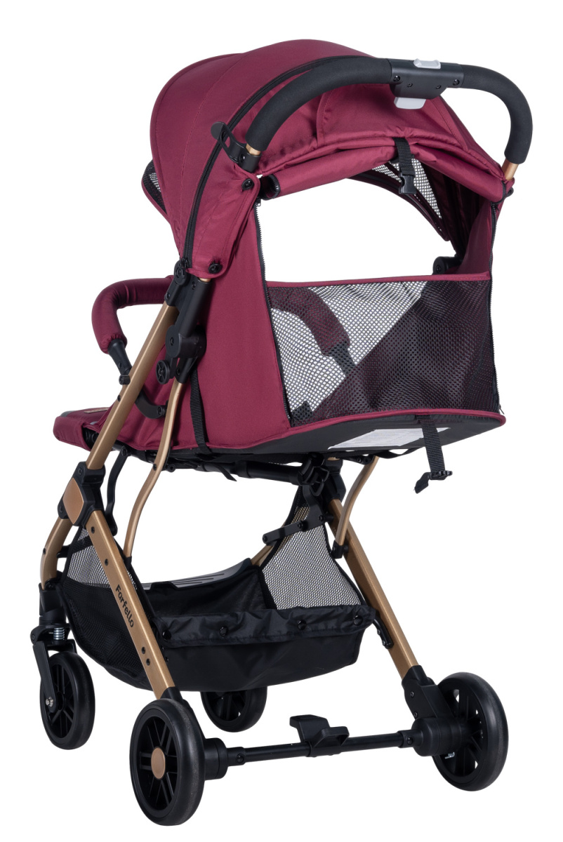 Коляска детская прогулочная Farfello Comfy Go (Cherry/ Вишня (золото) CG-66)