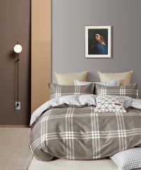 Twill 1,5 спальный TPIG4-1898 КОД1050