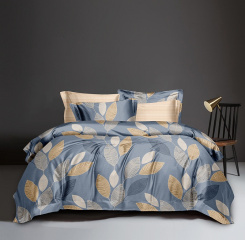 КПБ Dream Fly 2 спальный DF02-524-70 код1179