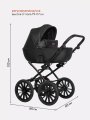 Коляска 2 в 1 Riko Basic Ozon Prestige 06 черный