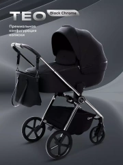 Коляска 2 в 1 Rant Teo Black Chrome Black