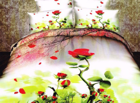 Постельное белье Tango Novella евро 2 наволочки TS03-71A код1003