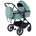 Коляска 2 в 1 Rant Moss Sage green